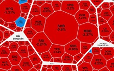 Khối ngoại bán ròng mạnh, cổ phiếu VIC hết "gánh" nổi chỉ số