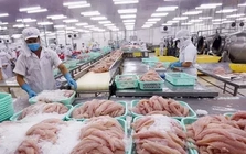 Xuất khẩu thuỷ sản có thể lập kỷ lục mới trong năm 2025