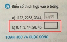 Bài toán lớp 3 nhưng khiến nhiều người lớn phải 'bó tay'