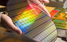 DN Việt bán mặt hàng cực quan trọng, chiếm 1/3 tổng xuất khẩu toàn cầu: Lời lãi ra sao?