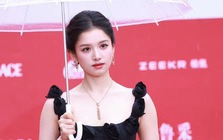 Công chúa Cbiz xách túi ni lông đi thảm đỏ nhưng phản ứng của netizen mới bất ngờ