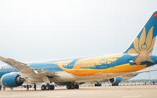 Nguyên nhân Vietnam Airlines sơn hình chim Lạc lên "Giấc mơ bay" Dreamliner Nguyên nhân Vietnam Airlines sơn hình chim Lạc lên "Giấc mơ bay" Dreamliner