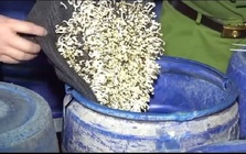 Cận cảnh bên trong xưởng sản xuất 3.500 tấn giá đỗ ngâm hóa chất độc hại Cận cảnh bên trong xưởng sản xuất 3.500 tấn giá đỗ ngâm hóa chất độc hại