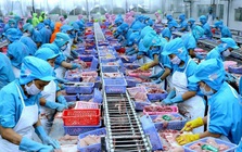 Muốn phát triển thị trường xuất khẩu ngành hàng chủ lực, Việt Nam cần làm gì?