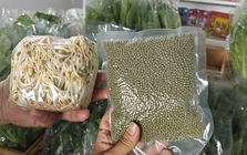 Lo giá đỗ ngâm hóa chất, người tiêu dùng "săn" giá ốm, rễ dài ở chợ xanh Lo giá đỗ ngâm hóa chất, người tiêu dùng "săn" giá ốm, rễ dài ở chợ xanh