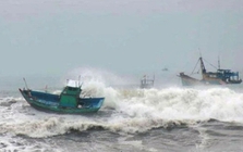 Biển Đông có thể xuất hiện 10 cơn bão trong 6 tháng tới Biển Đông có thể xuất hiện 10 cơn bão trong 6 tháng tới