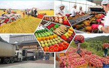 Xuất khẩu “không cho hết trứng vào một giỏ” ứng phó rủi ro thuế quan Xuất khẩu “không cho hết trứng vào một giỏ” ứng phó rủi ro thuế quan