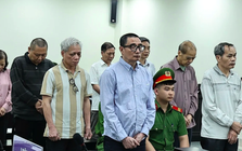 Gây thiệt hại 38 tỉ đồng, cựu tổng giám đốc Tổng công ty Chè Việt Nam lĩnh án 12 năm tù