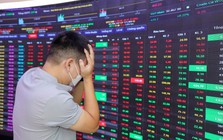 Nhà đầu tư chứng khoán 'thót tim' trong phiên tàu lượn Nhà đầu tư chứng khoán 'thót tim' trong phiên tàu lượn
