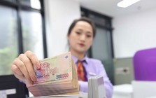 Yếu tố nào tác động tới lợi nhuận ngân hàng năm nay?