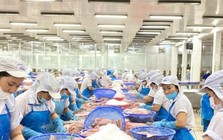 Nước nào tiêu thụ cá tra Việt Nam lớn nhất thế giới?