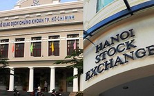 Lý do VNX bị giảm lãi