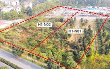 Hà Nội: Giao hơn 10.000m2 đất để thực hiện dự án nhà ở biệt thự