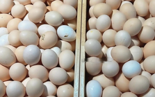 Mua trứng gà: Chọn quả to hay nhỏ? Người chăn nuôi tiết lộ bí mật, đừng ai mua sai nữa!