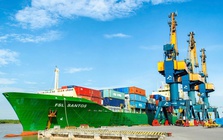 Viconship ‘gom’ thêm hơn 2,4 triệu cổ phiếu Xếp dỡ Hải An