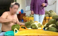 Nỗi oan sầu riêng 'nhúng thuốc'