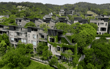 24 cặp đôi nghỉ hưu góp 540 tỷ đồng mua 8.000m2 đất hoang để xây ngôi làng toàn biệt thự, 10 năm không khoá cửa cũng không có trộm