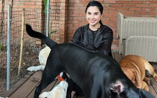 "Chị bán gạo" hot nhất TikTok xây villa cho cún cưng, 2 triệu người cảm thấy... "thua đời"