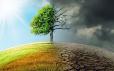 Loạt định chế tài chính rút khỏi cam kết Net Zero: Doanh nghiệp Việt nhìn gì từ động thái của thế giới?