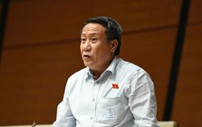 Vi phạm nhỏ, doanh nhân có thể được tại ngoại