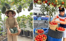 Chồng đầu tư cho vợ gần 100m2 làm vườn sân thượng, thu vài tạ trái ngọt mỗi năm: Thành quả kinh ngạc!