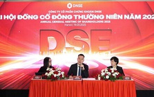 Chứng khoán DNSE phát hành cổ phiếu ESOP đợt 1, hai thành viên HĐQT được mua nhiều nhất