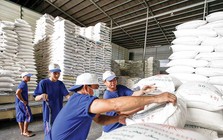 Đề xuất quy định mới về kinh doanh xuất khẩu gạo