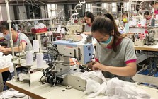 May Sông Hồng sắp phát hành 37,5 triệu cổ phiếu thưởng cho cổ đông