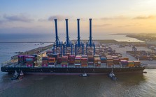 Viconship tiếp tục gom thêm hơn 1 triệu cổ phiếu Vận tải và Xếp dỡ Hải An (HAH)