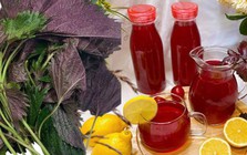 Nếu không thích thêm loại lá có vị đắng nhẹ này vào món ăn thì đem pha trà uống cũng làm sạch gan, lọc thận, chống viêm cực tốt