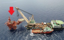 Tin vui: Việt Nam có "kho báu" từng được Úc, Malaysia định giá chỉ 1 USD, sau 30 năm lên tới 160.000 tỷ