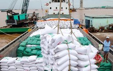 Nhật Bản khủng hoảng giá gạo, Việt Nam đón cơ hội vàng?