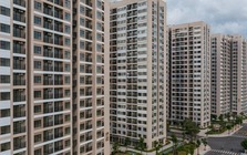 Giá chung cư tại Hà Nội, TP.HCM đã chững lại, không còn tăng mạnh như năm 2024