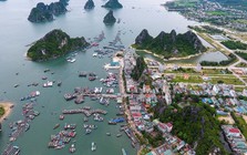 Hàng chục cán bộ ở huyện Vân Đồn xin nghỉ hưu sớm
