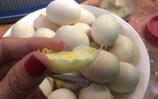 6 loại trứng đã không bổ béo còn “phá hủy” nội tạng, mê mấy cũng phải nhịn