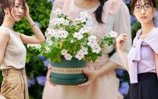 Chịu áp lực suốt thời gian dài, mẹ đảm tìm đến việc làm vườn và biến sân thượng thành thiên đường hoa trái
