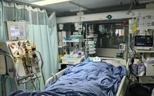 Người đàn ông suy gan, suýt chết sau bữa ăn: Bác sĩ thốt lên “do ăn 1 thứ chứa độc tố cực mạnh”