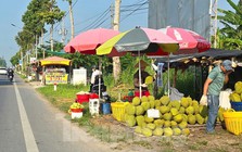 Sầu riêng ‘rẻ như bèo’ bán đầy đường