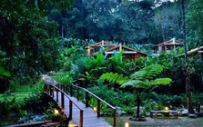 "Nuôi mộng xây homestay vừa nghỉ dưỡng vừa sinh lời, chưa đầy 2 năm tôi muốn bán cắt lỗ"