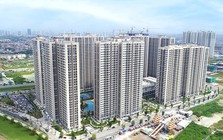 Giá chung cư tại Hà Nội, TP HCM qua thời tăng nóng