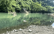 Du khách lần đầu tới tỉnh miền Trung, trầm trồ nhận xét: "Không ngờ lại đẹp như tranh vẽ!"