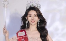 Một hoa hậu bị bắt