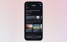 ChatGPT lên như diều gặp gió, Google nóng ruột ngay lập tức ra mắt chế độ tìm kiếm mới