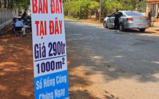 “Cơn sốt” đất nền đổ bộ Hải Phòng, Hưng Yên: Chuyện gì đang xảy ra?
