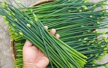 8 loại rau yên tâm mua ở chợ, không lo thuốc trừ sâu