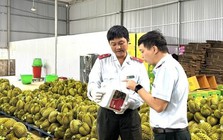 Bất ngờ thông tin sầu riêng nhiễm chất cấm