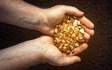 "Đãi cát tìm vàng" từ kế hoạch kinh doanh năm 2025: Hé lộ nhóm ngành rục rịch bước vào chu kỳ tăng trưởng mới