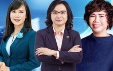 Khốc liệt như giới banker: Số lượng các "bóng hồng" ngồi ghế nóng không đủ một bàn tay, gần 50% CEO ngân hàng bị 'thay máu' trong 2 năm trở lại đây