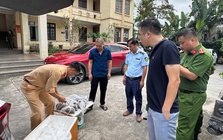 Nóng tại Quảng Ninh: Phát hiện một hộ kinh doanh có hơn 2.000 kg thực phẩm không rõ nguồn gốc, hộ khác có 5,6 triệu con ngao hoa giống không rõ xuất xứ