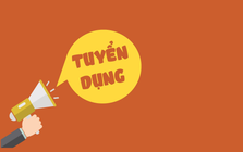 Nhà sản xuất “chạy đua” xuất hàng qua Mỹ: Hàng loạt DN cần tuyển gấp 500 – 3.000 lao động/tháng